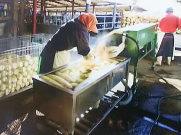 一本一本へのこだわり