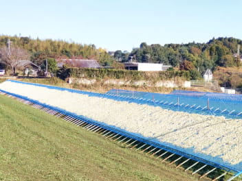 自然の力が育む味わい