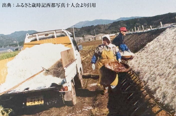 時代を超えて選ばれる理由